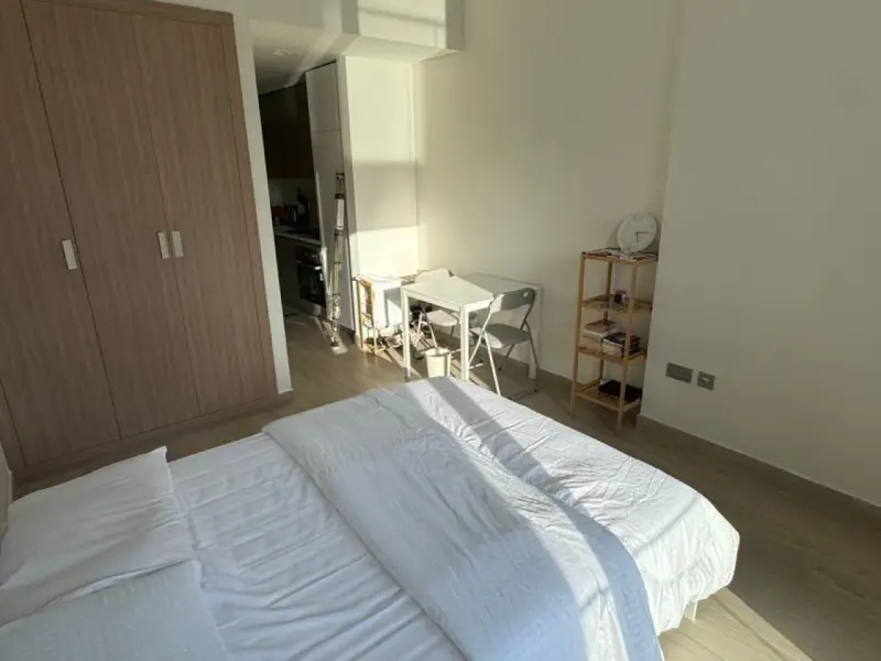 Furnished Studio|Azizi Riviera 41 |Ready to move — photo 3